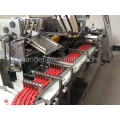 Automatic vials cartoning machine (Vertical)